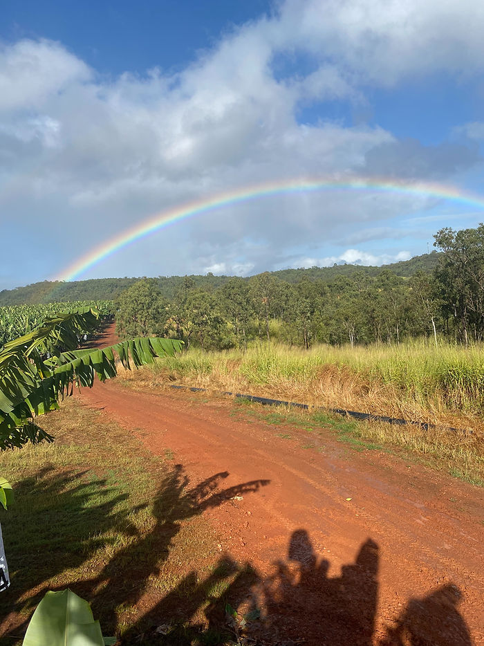 taiko-performance-corporate-event1