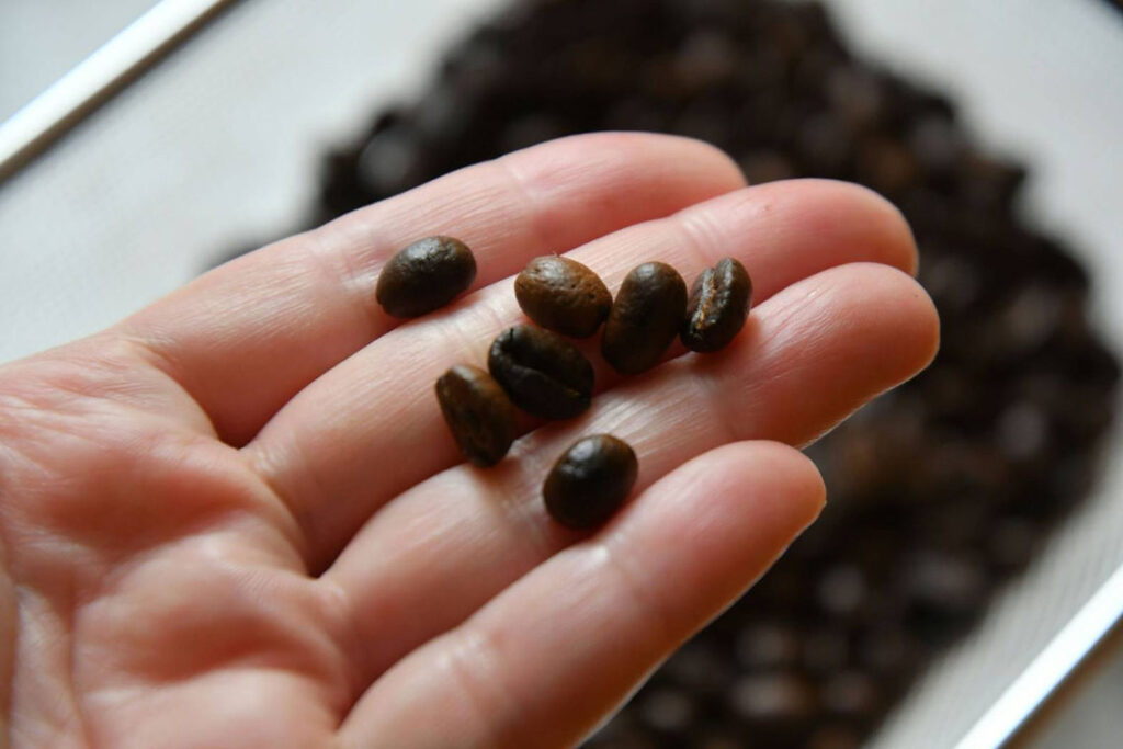 taiko-performance-corporate-event6